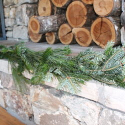 25ft Mixed Garland