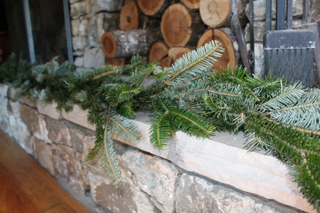 Bluestone website pics 2015 089