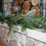 Bluestone website pics 2015 089
