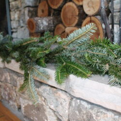 25ft Fresh Fraser Fir Garland